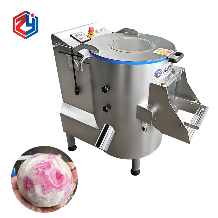 净菜丝瓜视频下载污免费厂投资多少钱？从设备到场地应该准备什么？